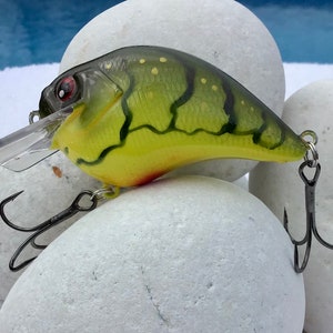 Fishing Lure
