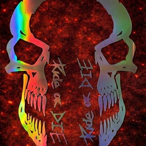 Fox / Rockshox suspension fork vinyl sticker / Skull bicycle / Ride or Die