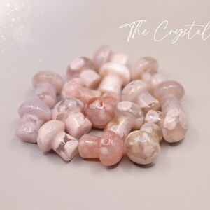 Stunning mini flower agate crystal mushroom. Each mushroom has beautiful colouring and are full of flower patterns. Ideal as pocket crystals and to gift to crystal fans. Can be used for healing and meditation purposed. Gifts for he, hippy gifts.