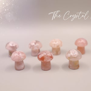 Stunning mini flower agate crystal mushroom. Each mushroom has beautiful colouring and are full of flower patterns. Ideal as pocket crystals and to gift to crystal fans. Can be used for healing and meditation purposed. Gifts for he, hippy gifts.