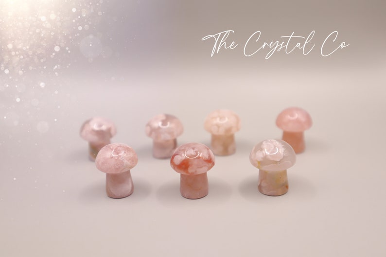 Stunning mini flower agate crystal mushroom. Each mushroom has beautiful colouring and are full of flower patterns. Ideal as pocket crystals and to gift to crystal fans. Can be used for healing and meditation purposed. Gifts for he, hippy gifts.