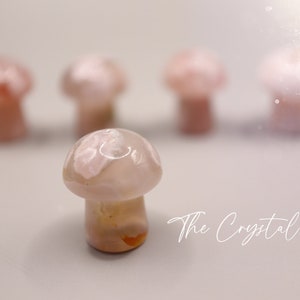 Stunning mini flower agate crystal mushroom. Each mushroom has beautiful colouring and are full of flower patterns. Ideal as pocket crystals and to gift to crystal fans. Can be used for healing and meditation purposed. Gifts for he, hippy gifts.