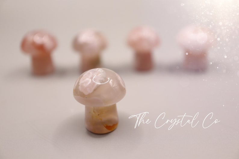 Stunning mini flower agate crystal mushroom. Each mushroom has beautiful colouring and are full of flower patterns. Ideal as pocket crystals and to gift to crystal fans. Can be used for healing and meditation purposed. Gifts for he, hippy gifts.