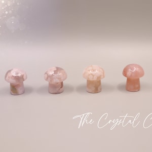 Stunning mini flower agate crystal mushroom. Each mushroom has beautiful colouring and are full of flower patterns. Ideal as pocket crystals and to gift to crystal fans. Can be used for healing and meditation purposed. Gifts for he, hippy gifts.