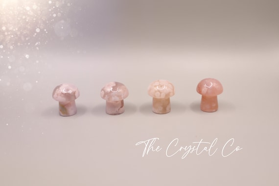Flower Agate Mushroom: Pocket Crystal Gift
