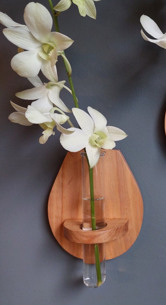 Set of 3 Wall Plant Propagation Vase Etsy