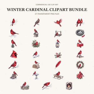 Winter Cardinal Clipart Bundle, Red Bird PNG Graphics, Memorial Bird Sublimation (Digital Download)