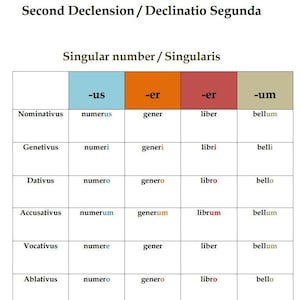 Tableau de conjugaison/déclinaison des noms réguliers latins | affiche de classe de grammaire latine | Imprimables latins | Téléchargement instantané