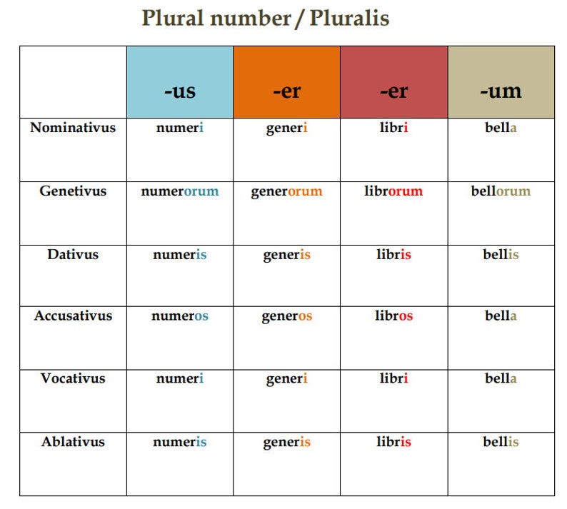 Latin Regular Nouns Conjugation/declension Chart Latin Grammar