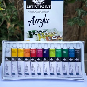 Acrylfarbe Packung mit 12 Große Assorted Tube Farben Acrylfarbe Tube 21 ML Acryl-Set Acrylfarben Malerei Set Art Paint Kit Bild 3