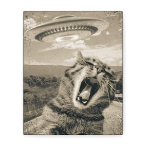 Funny Cat Alien Canvas Art Print, Unique Wall Decor for Cat Lovers, Gift for Pet Owners, Home Decor, Funny Gift, Art for Cat People