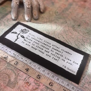 Het masker van anarchie gedicht punk patch herrijst als leeuwen na slaap afbeelding 10