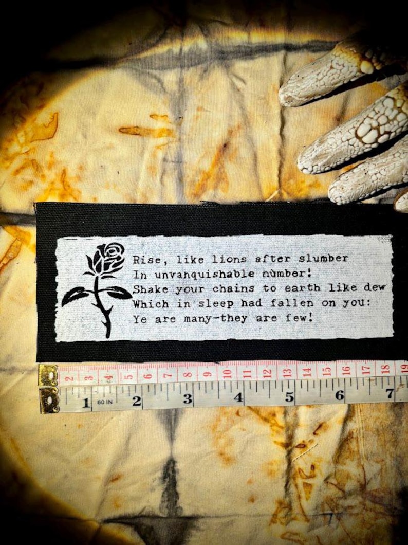 Het masker van anarchie gedicht punk patch herrijst als leeuwen na slaap afbeelding 3