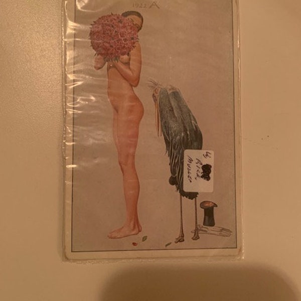 Antique Nude Pin Up Post Card by Prof. Richard Müller titled "Bent on Marrying'