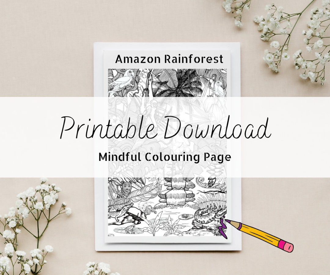 Amazon Rainforest Printable Mindful Colouring Page Etsy UK