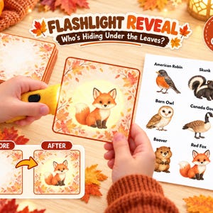Pode incluir: Um conjunto de jogo Flashlight Reveal com 27 cartas com bordas de folhas de outono. Uma carta mostra uma raposa revelada por uma lanterna amarela. Uma folha de referência exibe ilustrações de animais, incluindo um pisco, um gambá, uma tartaruga e uma coruja.
