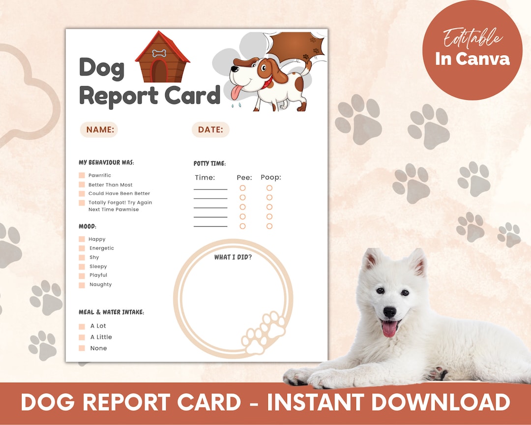 Dog Boarding Report Cardpet Report Carddog Report Cardpet Etsy