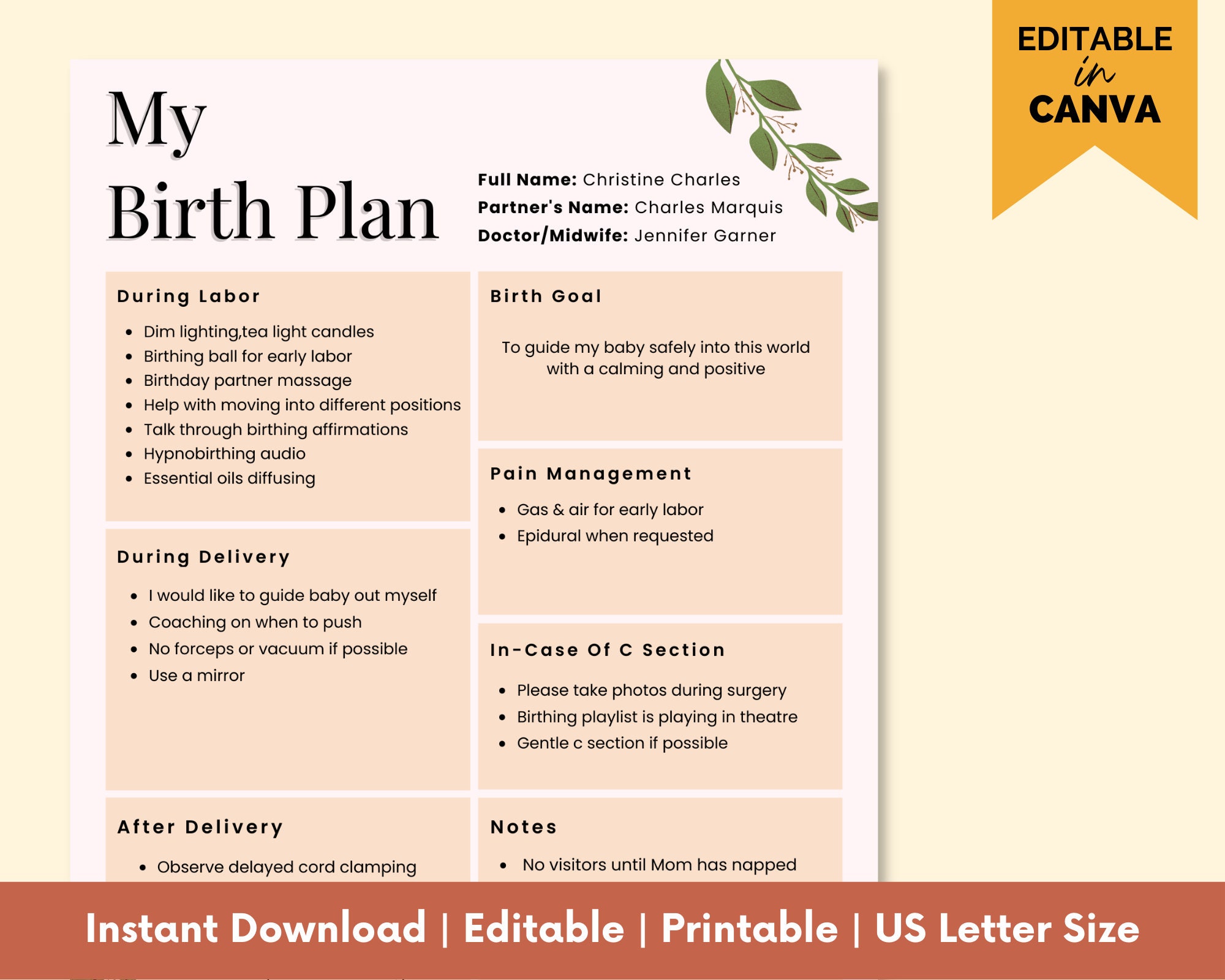 birth-plan-birth-plan-template-natural-birth-plan-visual-birth-plan