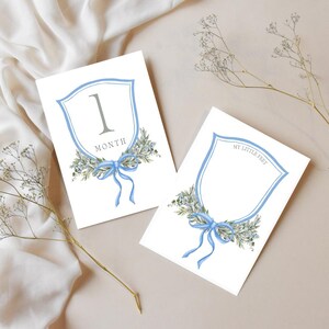 French Blue Baby Monthly Milestone Cards | Classic Milestone Card | Baby Photo Cards | Preppy Baby Milestone Card | Boy or Girl Shower Gift