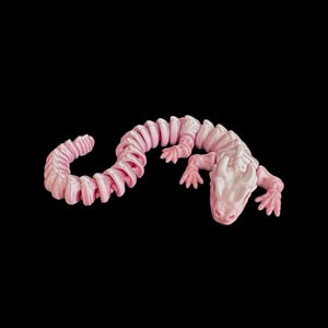 SKELETON DRAGON - 3D Printed Articulated Fidget Toy