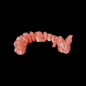 FOX DRAGON - 3D Printed Articulated Fidget Toy