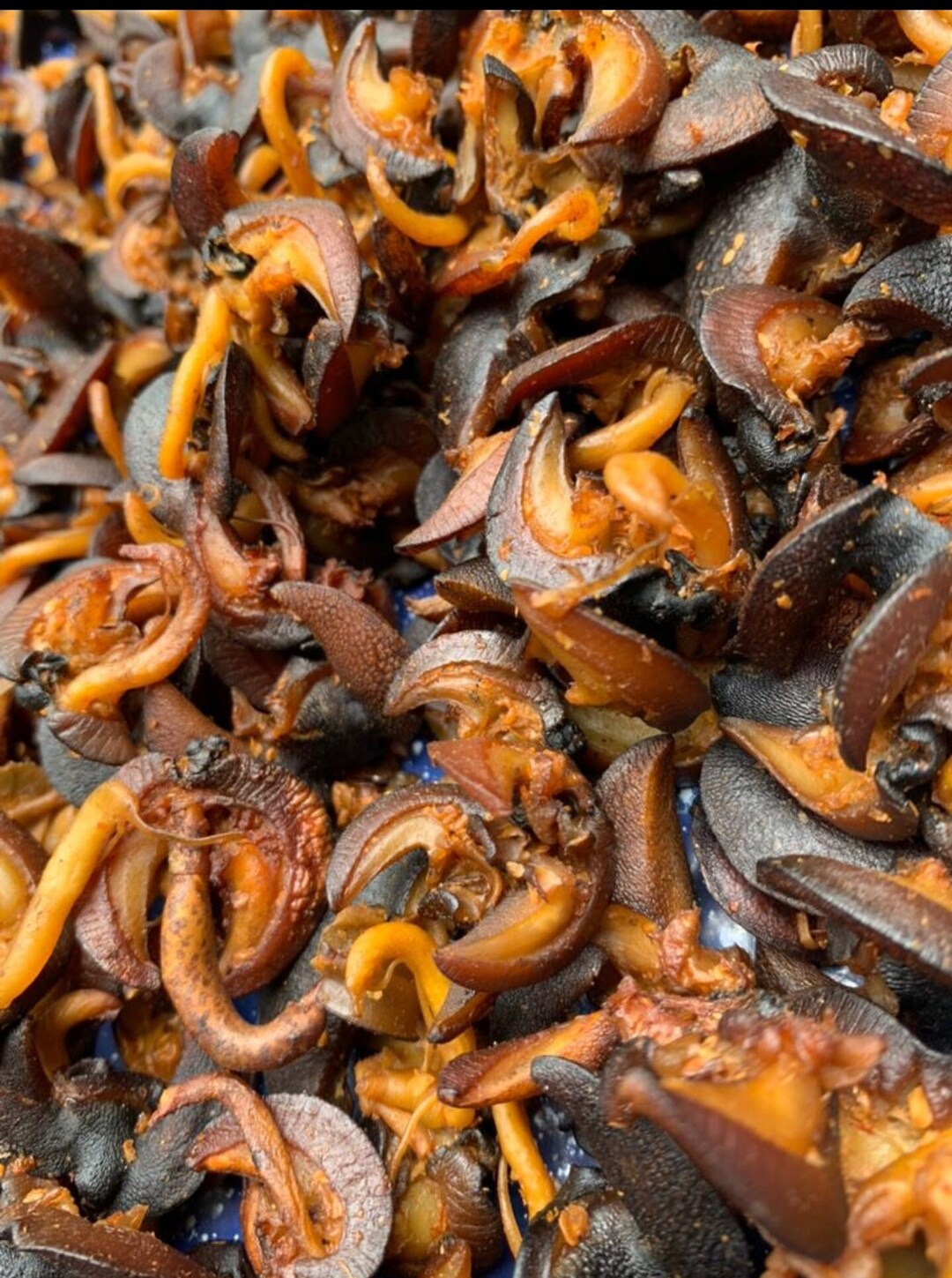 Oven Dried Snails Etsy