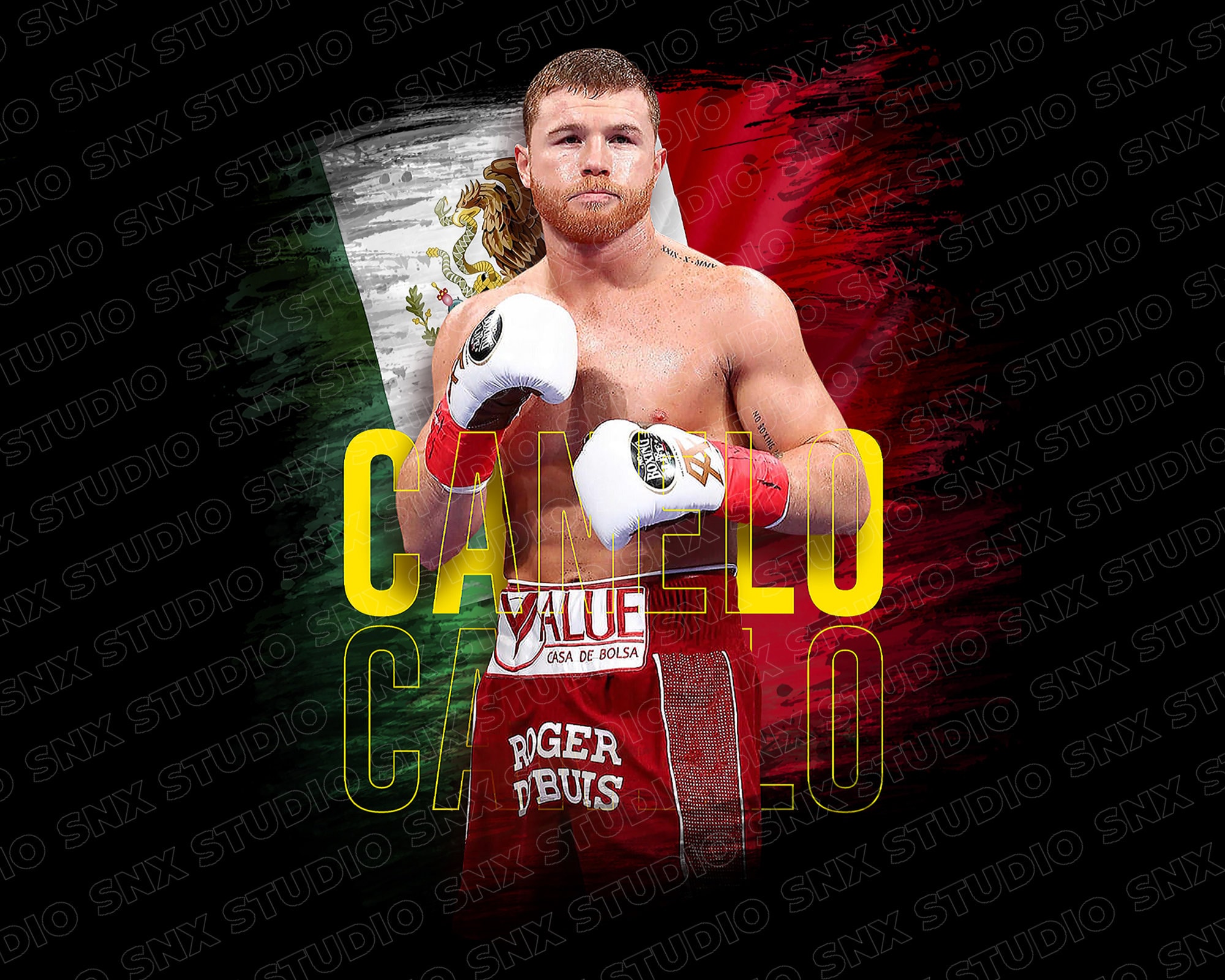  HYYNN Canelo Alvarez Vs GGG 2 Fight Boxing Canvas Art