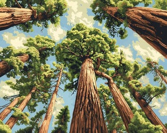 Redwood National Park Paint by Numbers Kit: California Sequoia Forest Landscape