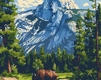 Yosemite Paint by Numbers Kit: Half Dome Moonlit Landscape