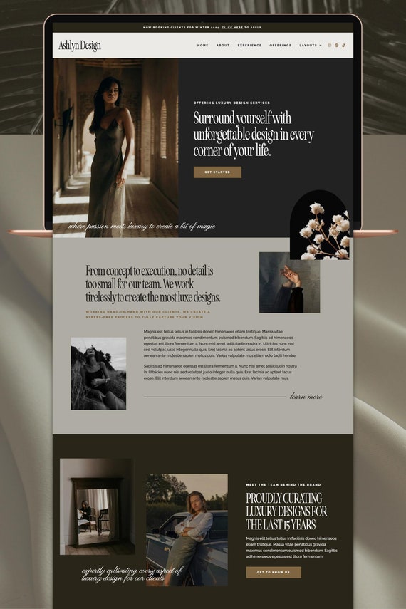 Ashlyn WordPress Theme | Feminine WordPress Theme with free Elementor Website Builder