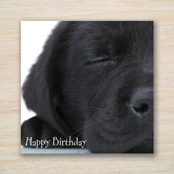 Black Labrador Birthday Card Sleeping Dog Birthday Card Black Labrador Black Lab Birthday Card Perfect for Dog Lovers and Dog Owners