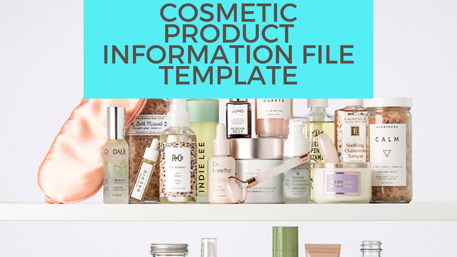 Cosmetic Product Information File PIF Template Legislation