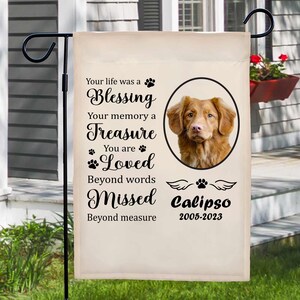 Memorial Pet Paw Print SVG PNG: in Loving Memory (instant Download) - Etsy