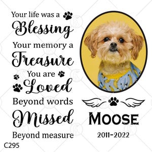 Könnte beinhalten: Ein schwarz-weißer Gedenk-Druck mit einem Foto eines kleinen, hellbraunen Hundes, der ein blaues und gelbes gemustertes Hemd trägt. Der Text lautet "Your life was a Blessing, Your memory a Treasure, You are Loved Beyond words, Missed Beyond measure, MOOSE 2011-2022, C295".