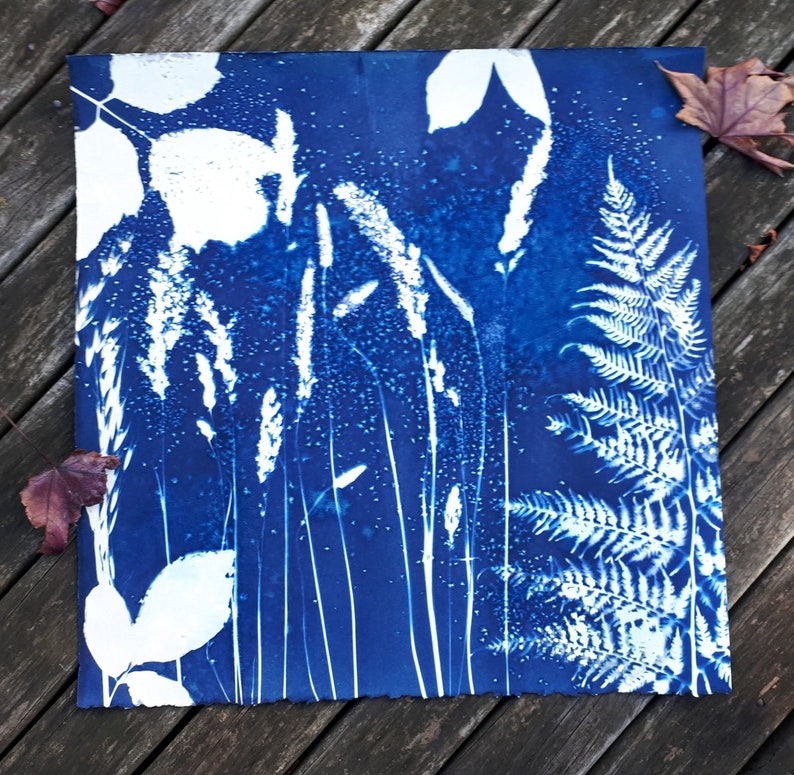 K&ouml;nnte beinhalten: Ein Cyanotypie-Abdruck mit wei&szlig;en Silhouetten von Farnen, Gr&auml;sern und Bl&auml;ttern vor einem tiefblauen Hintergrund.