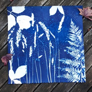 May include: A cyanotype print with white botanical impressions on a deep blue backdrop. The artwork displays detailed plant silhouettes, including ferns, grasses, and leaves, creating a naturalistic and artistic composition. The print has a textured, torn edge.