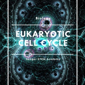 May include: A black and blue abstract background with the text "Biology EUKARYOTIC CELL CYCLE" and "Senger STEM Academy" in white. The text "WRITTEN BY MCKENZIE SENGER" is in white on a dark teal background.