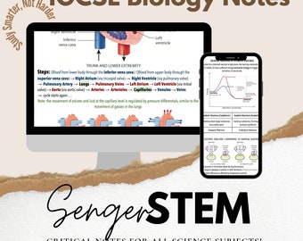 IGCSE Biology Bundle (40% OFF!) - Core & Supplemental Content (150 pages)