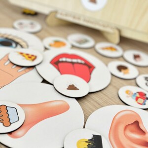 Five Senses Learning Board Five Senses Sorting Activity, 5 Senses ...