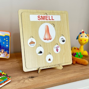 five senses learning board Five Senses Sorting Activity, 5 Senses Classification Game, Preschool, Kindergarten, Human Body Worksheets