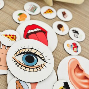 Five Senses Learning Board Five Senses Sorting Activity, 5 Senses ...