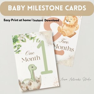 Cartes d'étape | Cartes mensuelles | Cigogne | Cadeau bébé | Nouvelle maman | Idées cadeaux | Baby Shower | Cartes bébé mois | Souvenirs | Garçon | Fille | 12+1