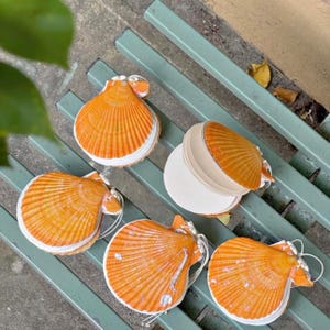 Puede incluir: Cinco cuadernos en forma de concha de vieira naranja con páginas blancas y cierre de cuerda. Las conchas tienen un diseño texturizado y acanalado, dispuestas sobre un banco verde.