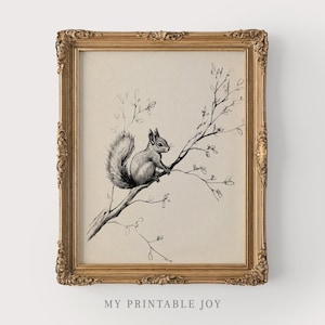 May include: A framed print with a monochrome illustration of a squirrel on a branch. The artwork is set against a beige background and framed in a gold, ornate frame. The text "MY PRINTABLE JOY" is at the bottom of the print.