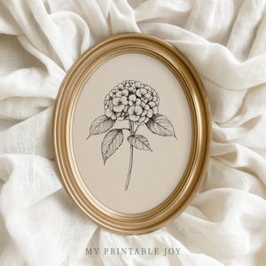 Könnte beinhalten: Ein ovaler, goldfarbener Rahmen umgibt eine schwarz-weiße botanische Illustration einer Hortensienblüte. Das Kunstwerk befindet sich vor einem beigefarbenen Hintergrund und liegt auf einem weißen, strukturierten Stoff. Der Text "MY PRINTABLE JOY" befindet sich unten.