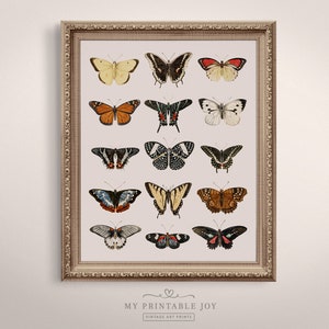 Girls Nursery Vintage Butterfly Print | Country Farmhouse, Girls Room, Boho Wall Decor, Butterflies Print | Printable Art