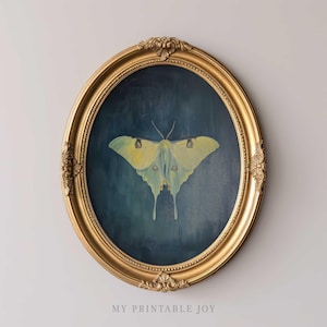 May include: A gold oval frame with a dark blue background and a yellow and green moth with long tails. The moth is centered in the frame.