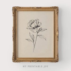 花の絵画 黒金フレーム 牡丹 Amazon.co.jp: 絵画 柔らかな牡丹の花の絵 アートパネル