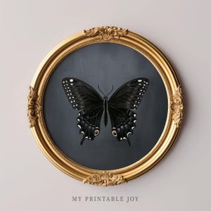 May include: A framed print of a black butterfly with white and red markings, set against a dark grey backdrop. The artwork is in an oval, gold, ornate frame. The text "MY PRINTABLE JOY" is at the bottom of the image.