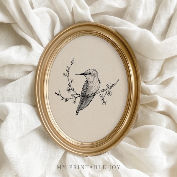 Hummingbird Sketch – Delicate Ink Drawing of Bird Rustic Cottagecore Nature Wall Art Printable Vintage Style Nursery Decor 43